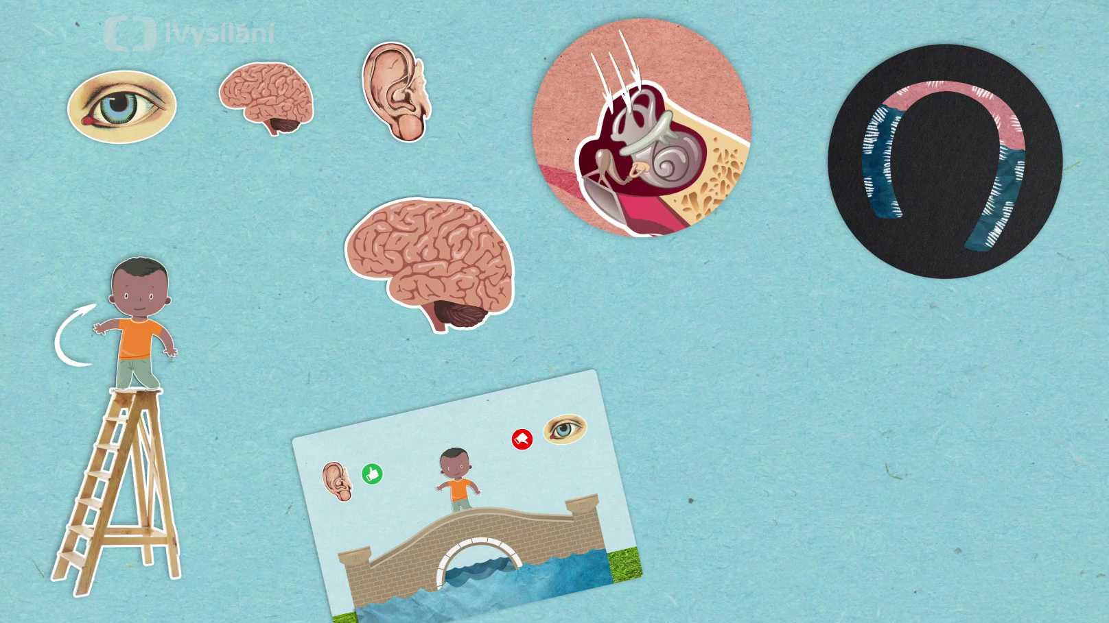 Proč někteří lidé trpí závratěmi?