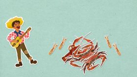 Proč krabi chodí jen do strany?