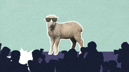 Proč stříháme ovce?