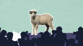 Proč stříháme ovce?