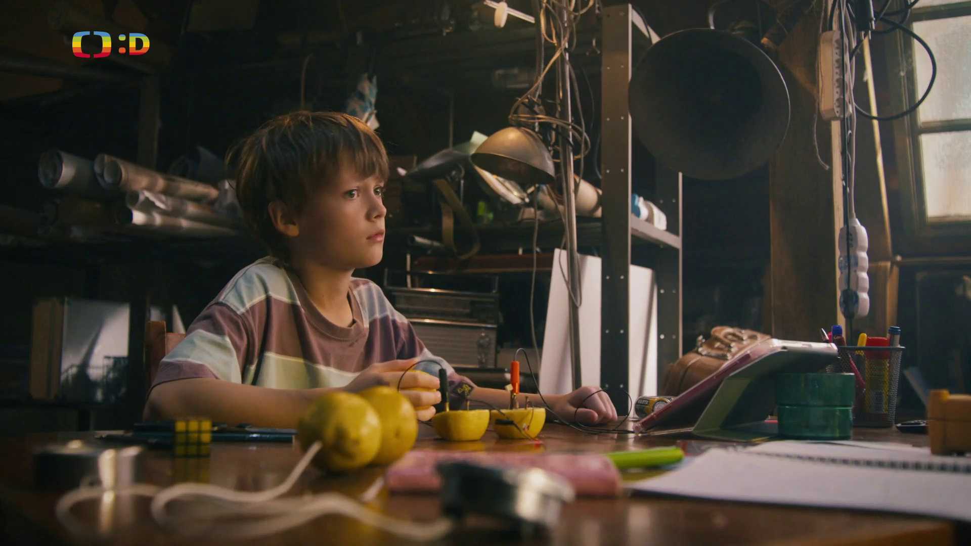 8/12 Není eko všechno, co se zelená