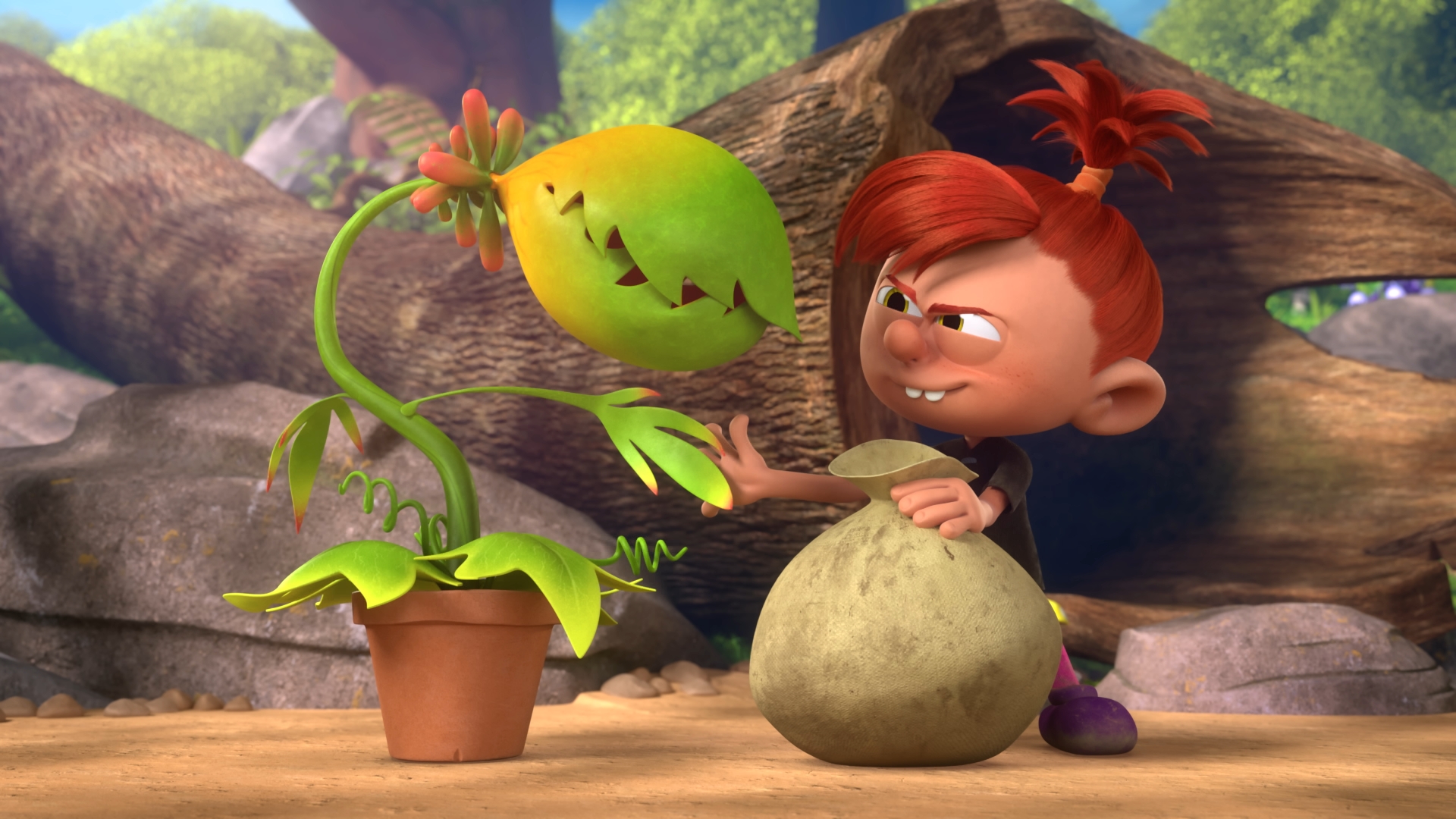 7/52 Rowenina rostlina