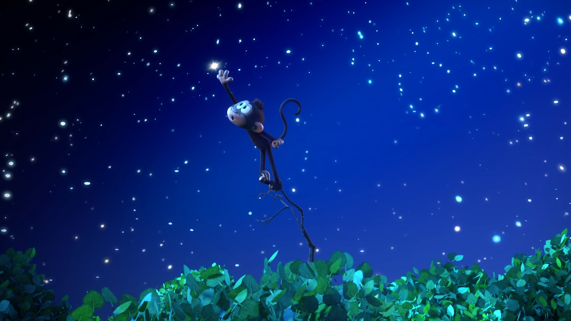 15/52 Nejkrásnější hvězda