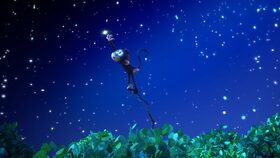 15/52 Nejkrásnější hvězda