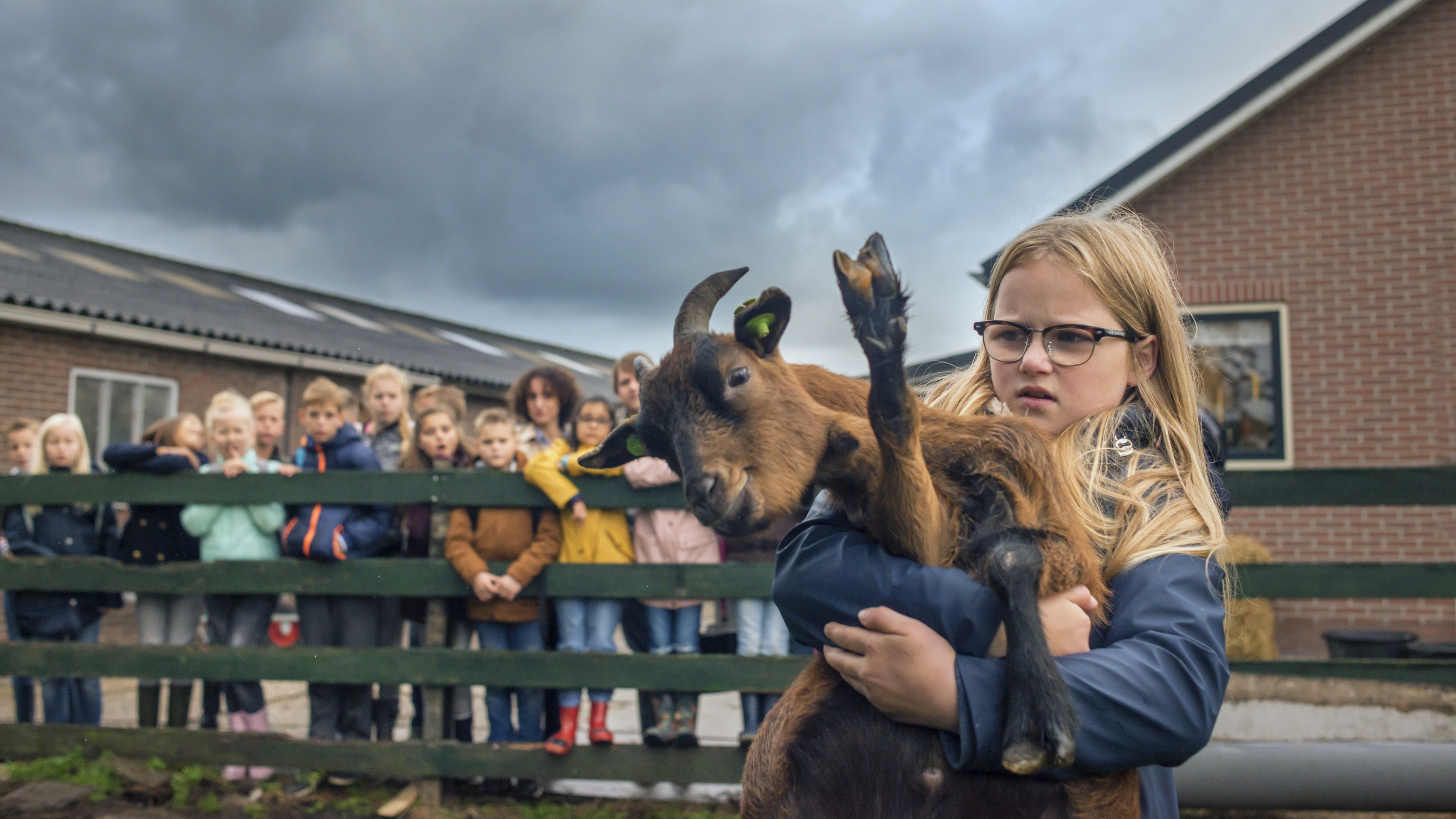 6/16 Zvířecí aura