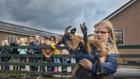 6/16 Zvířecí aura