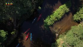 31. července