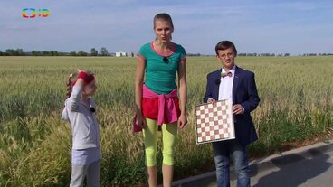 Šachy