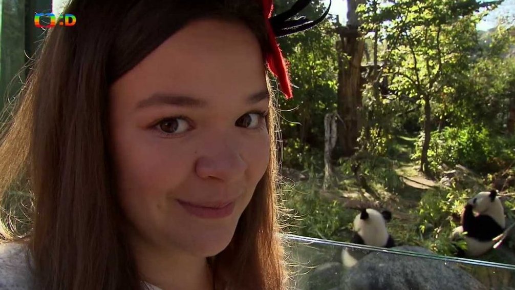 Cesta do Zoo ve Vídni, Želvy obrovské, Panda velká