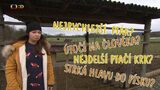 Křeček uprchlík, Zoolaborka - péče o zvířata, Zvířecí mýty - pštros