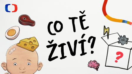 Co tě živí?