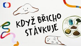 Když břicho stávkuje