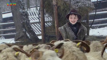 Pohanka a zelí všechny rozveselí