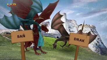 Draci