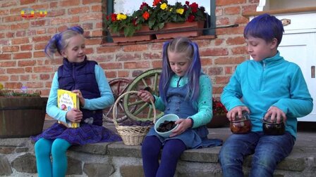 Švestka – ovocnářská pecka!
