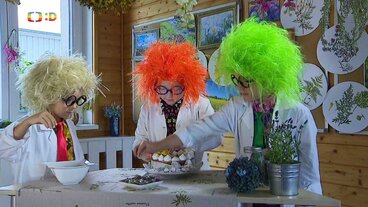 Ten, kdo doma prostírá, ví, že jíme očima