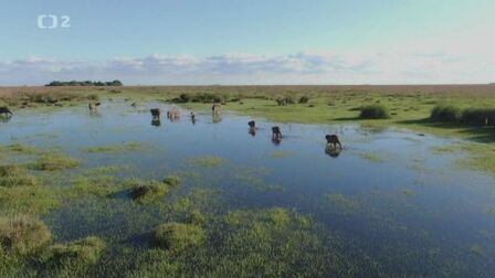 Kde se třpytí voda - národní park Iberá