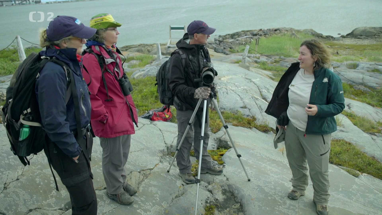 Kde žijí bílí medvědi - národní park Wapusk, Kanada