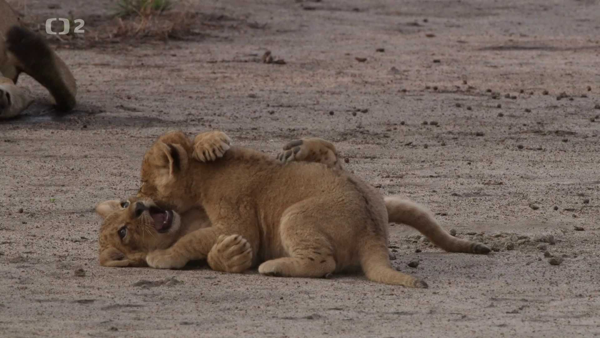 Znovuzrození přírodního prostředí
