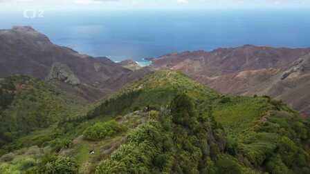 Druhová rozmanitost uprostřed oceánu