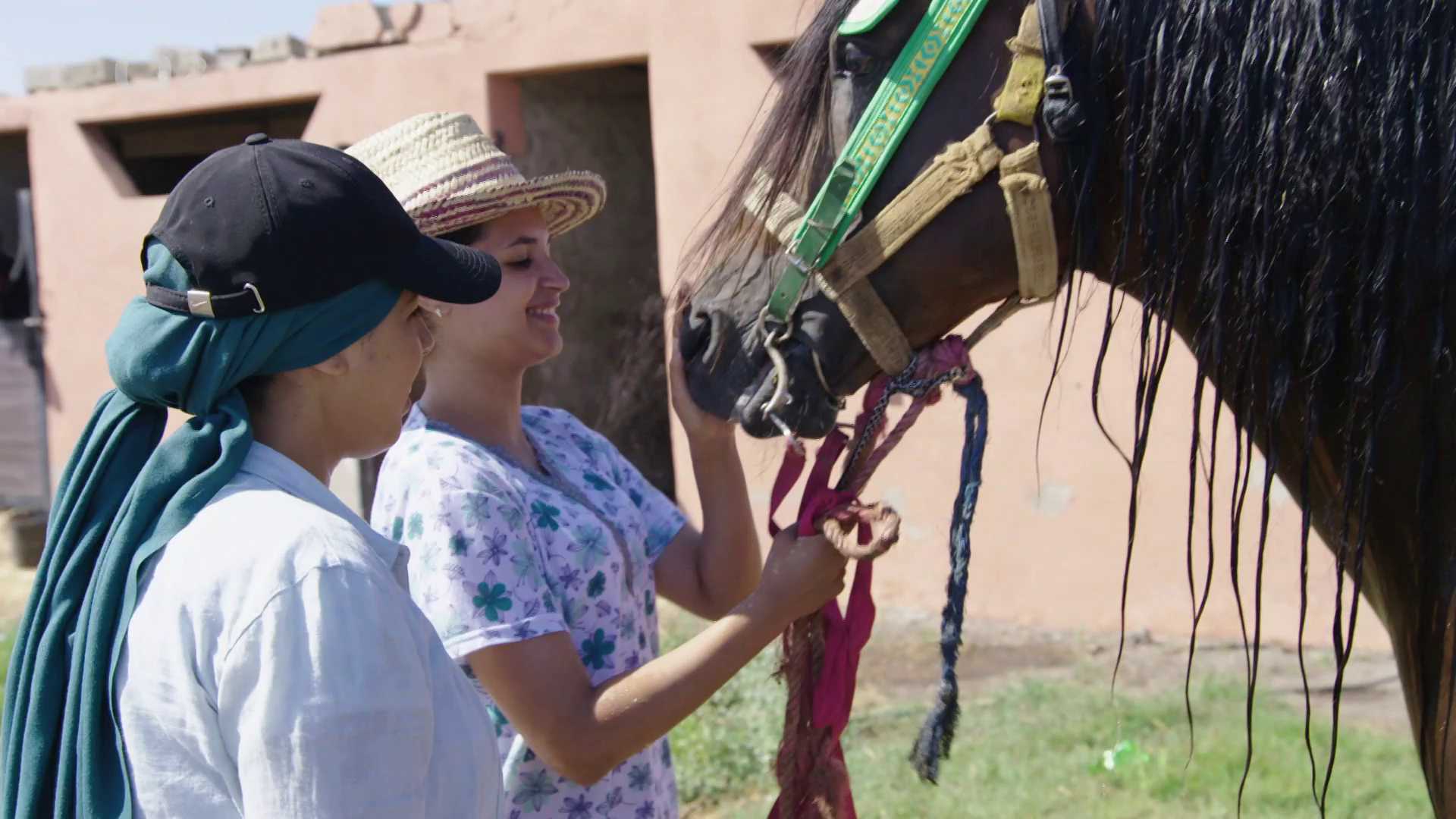 Jezdkyně tbouridy - spojení tradice a modernity