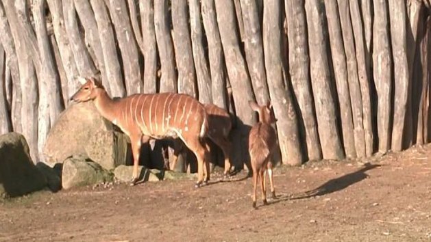 Zoo Jihlava