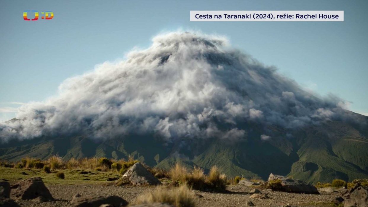 Cesta na Taranaki na ZFF