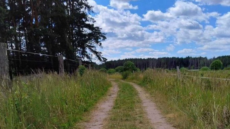 Na vlastní nohy: stezka Janovský mokřad