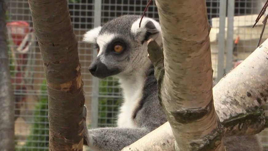 Zábavní park Bylandia