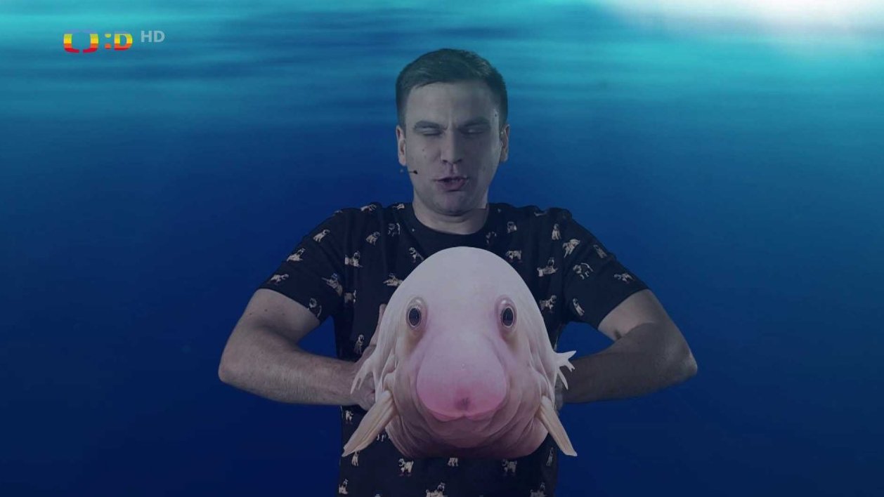 Nejvtipnější zvířata