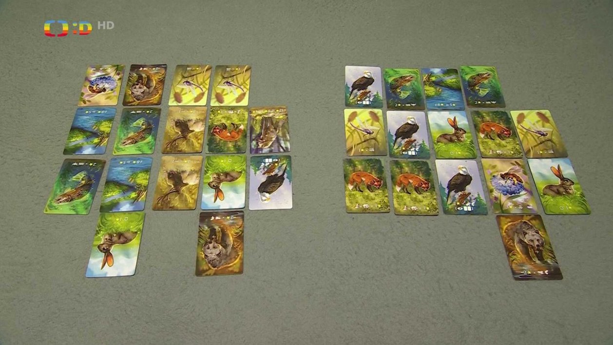 Deskovka: Ekosystém