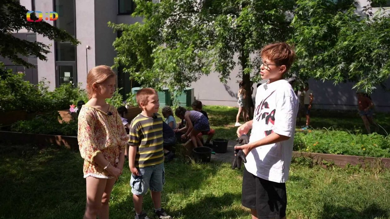 Společnost: Komunitní zahrady