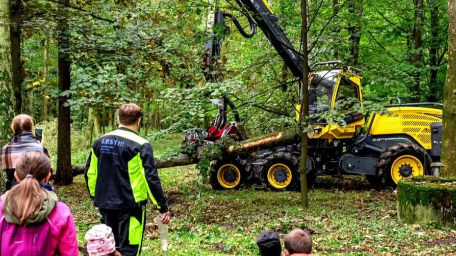 Festival dřeva v Ostravě – Den v lese