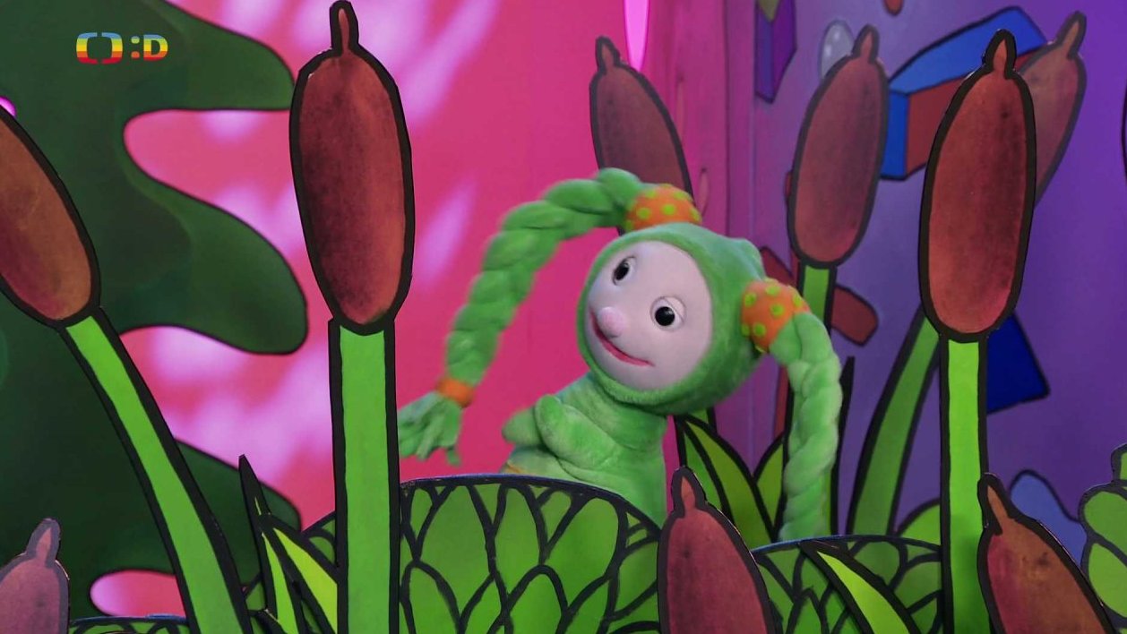 Fanynka u rybníka čeká na čápa, za kterým se dnes s Matoušem vypravili…