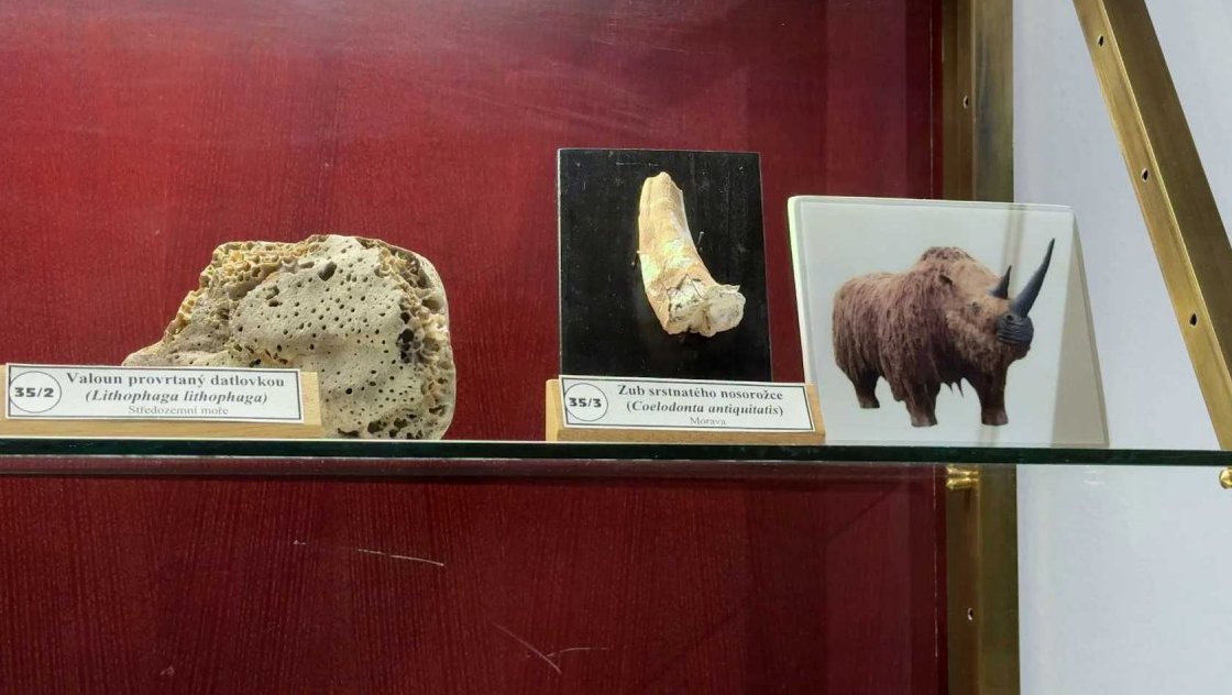 Klenotnice Nová Paka