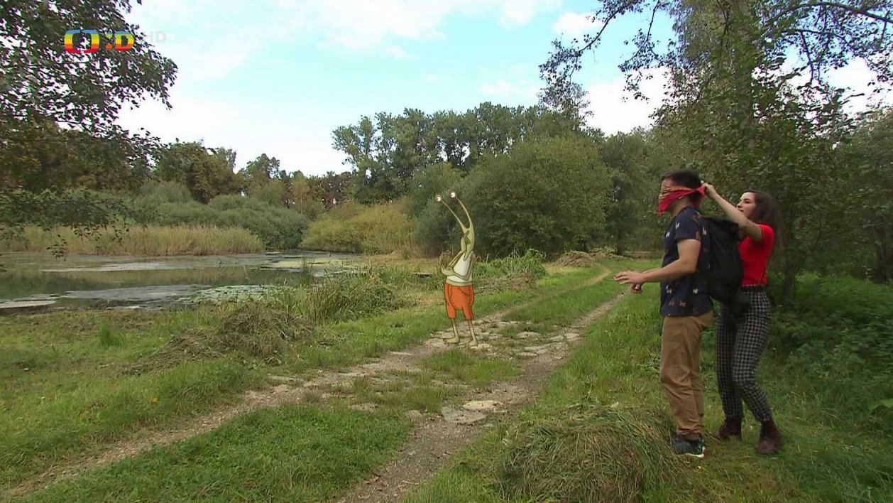 Mokřad v Jablonném v Podještědí