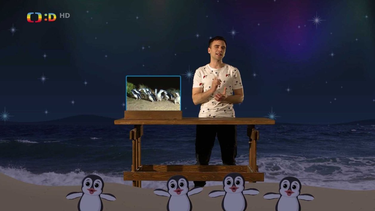 Tučňák nejmenší