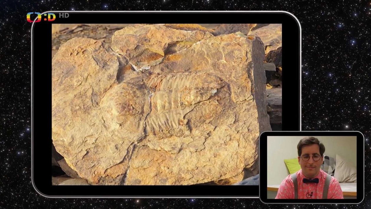 Jak žili pravěcí živočichové