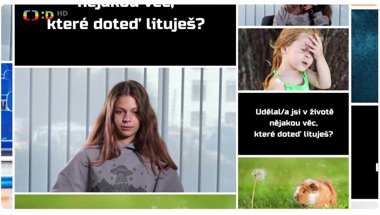 Udělal/a jsi v životě nějakou věc, které doteď lituješ?