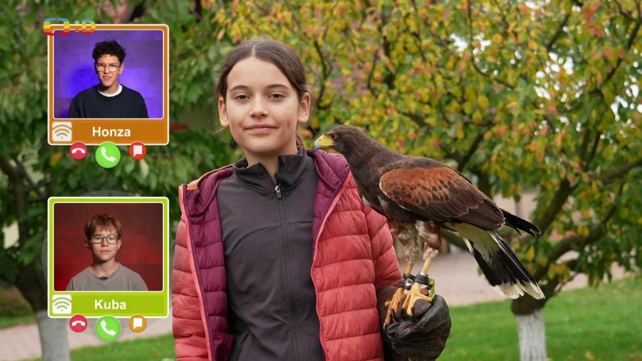 Příroda: Falconyterapie