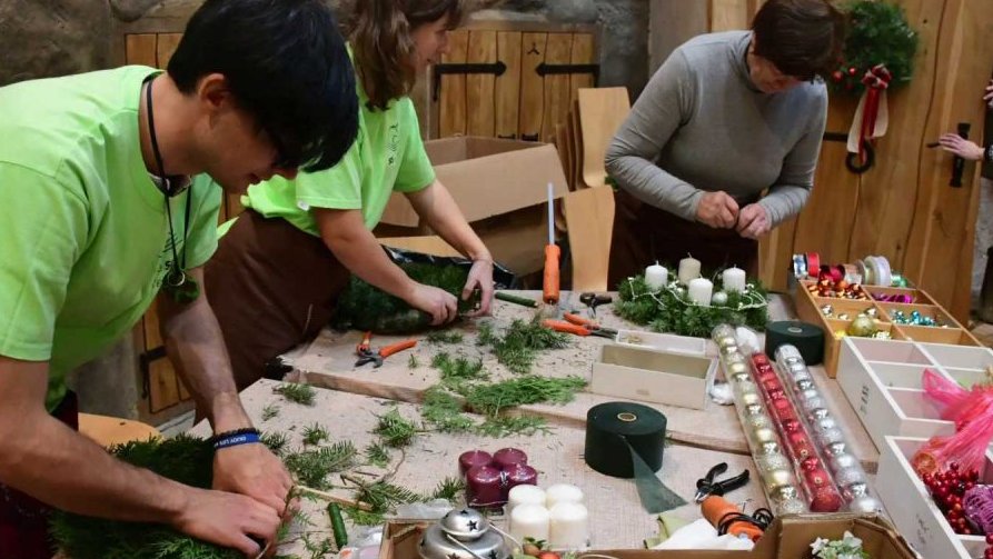 Stromeček v Zoo Jihlava