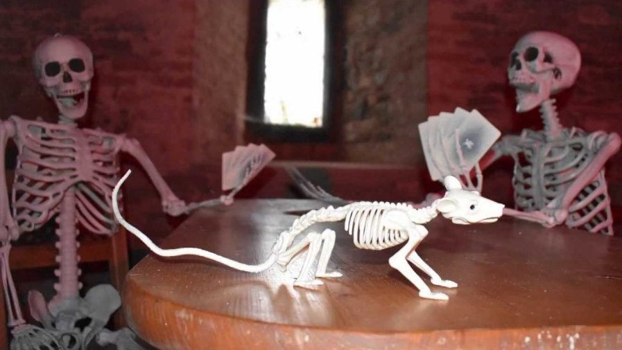 Adventní jarmark a strašidelná stezka