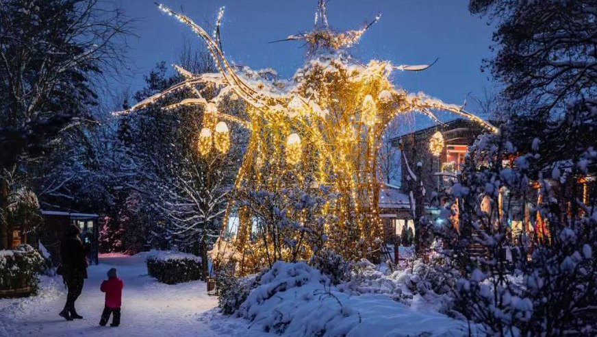 Vánoční ZOO Dvůr Králové nad Labem