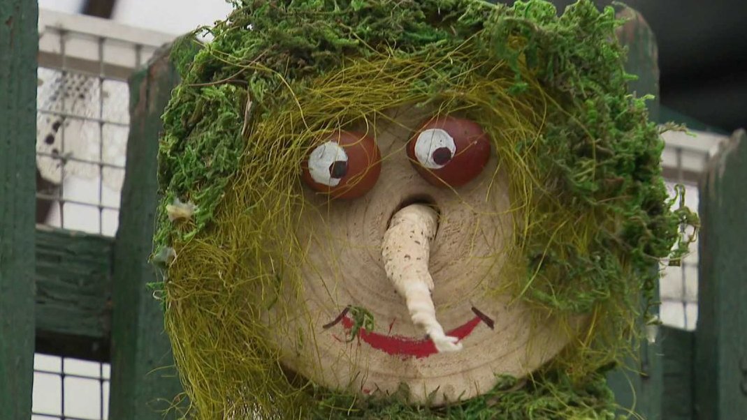 Vánoční výstava v Botanické zahradě Přírodovědecké fakulty UK