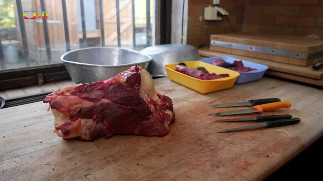 Příroda: Jídelníček zvířat v zoo