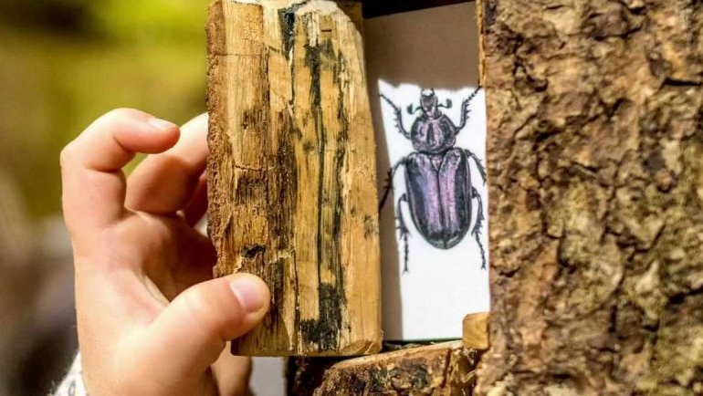 Zimní stezka do Domu přírody Českého ráje