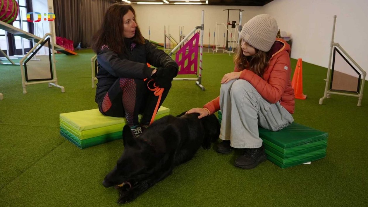 Příroda: Dogdancing