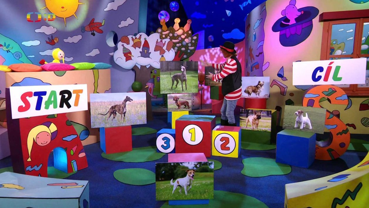 Foto nejrůznějších psů + písnička JÁ MÁM DOMA CHRTA + rozloučení