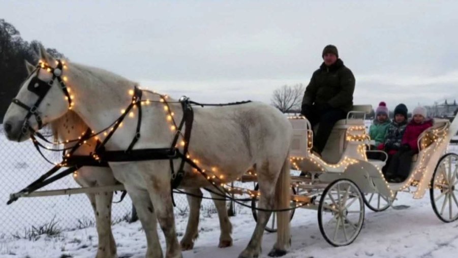 Valentýn v Zooparku Zelčín