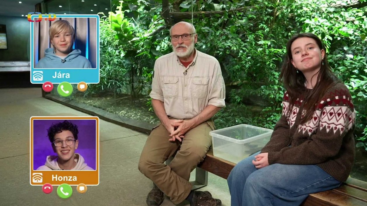 Příroda: Orlicie bornejská